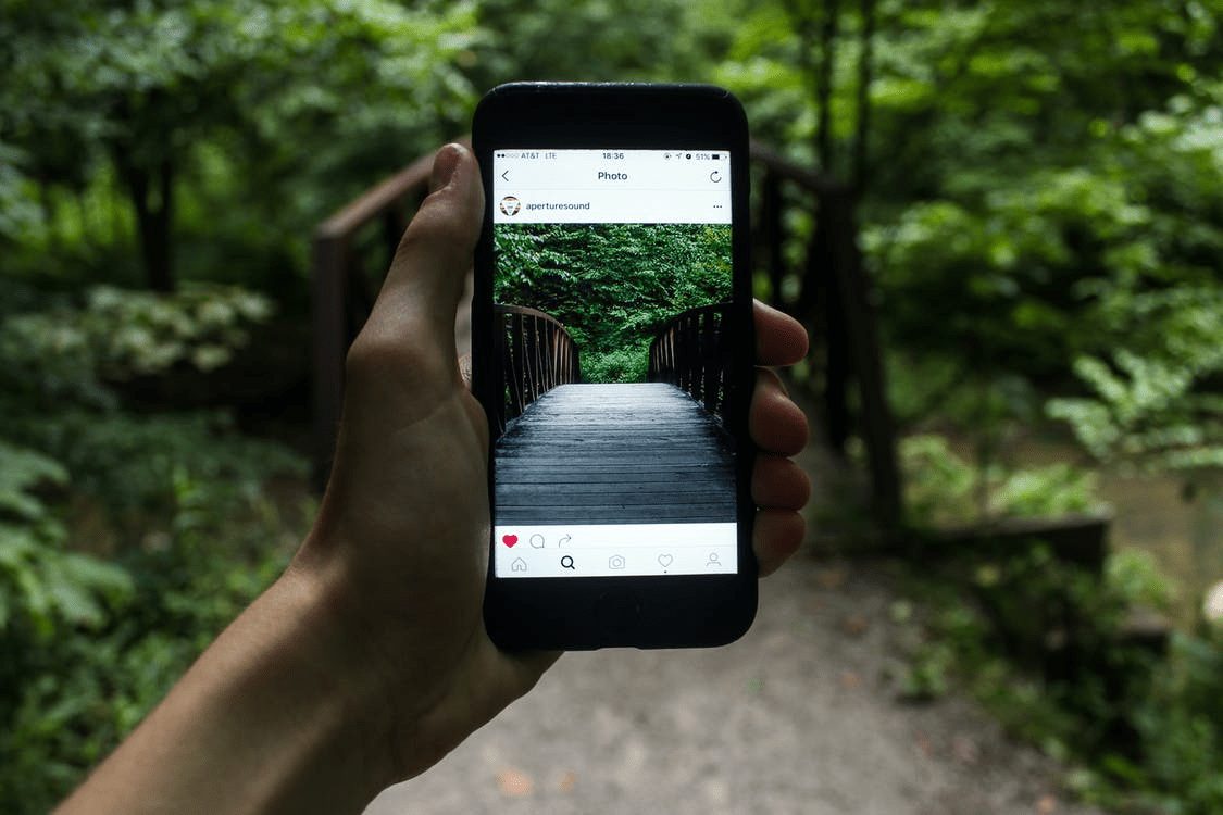 choose instagram for social networking img1